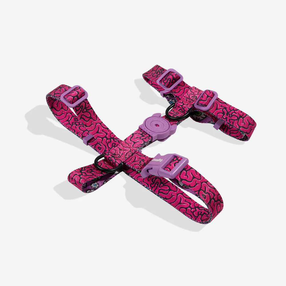 H-Harness Brain - Arnés en H
