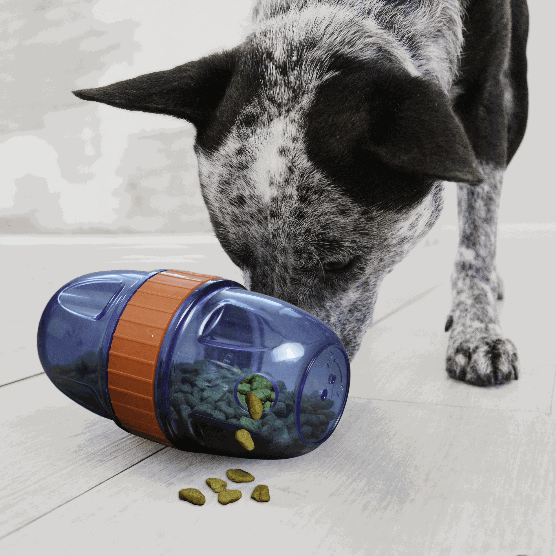Kong Perro dispensador scuttle pod Largue