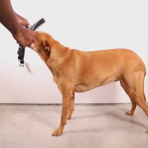 Arnés anti-tirones BRAIN