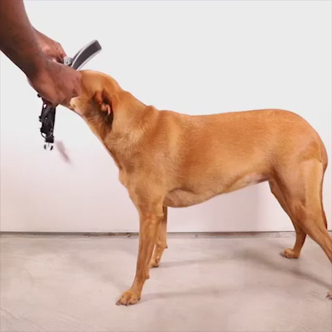 Arnés anti-tirones THOR