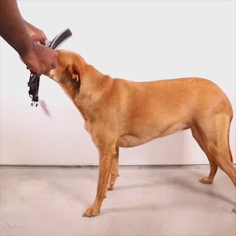 Arnés anti-tirones NOX