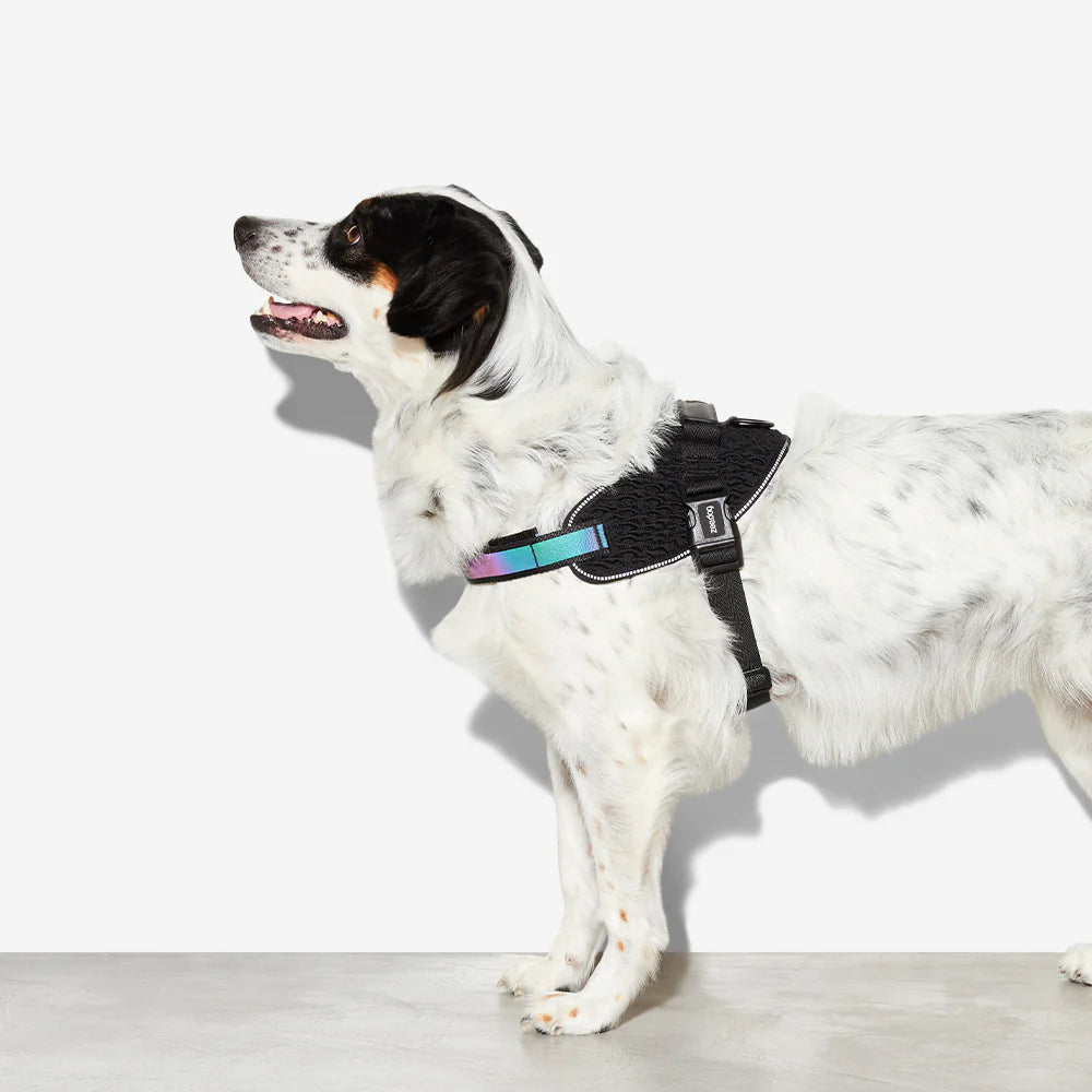 Flyharness Gotham - Arnés para perros