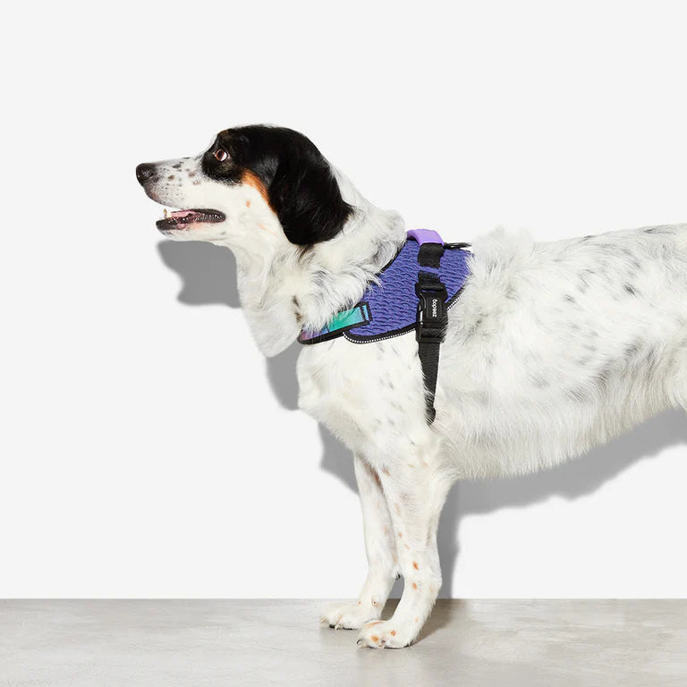 Flyharness Wicked - Arnés para perros