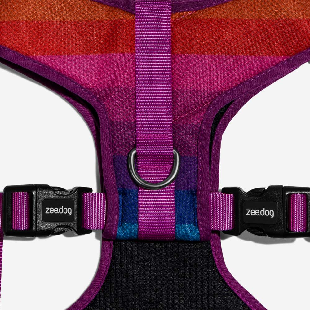 Pechera Airmesh Harness Prisma