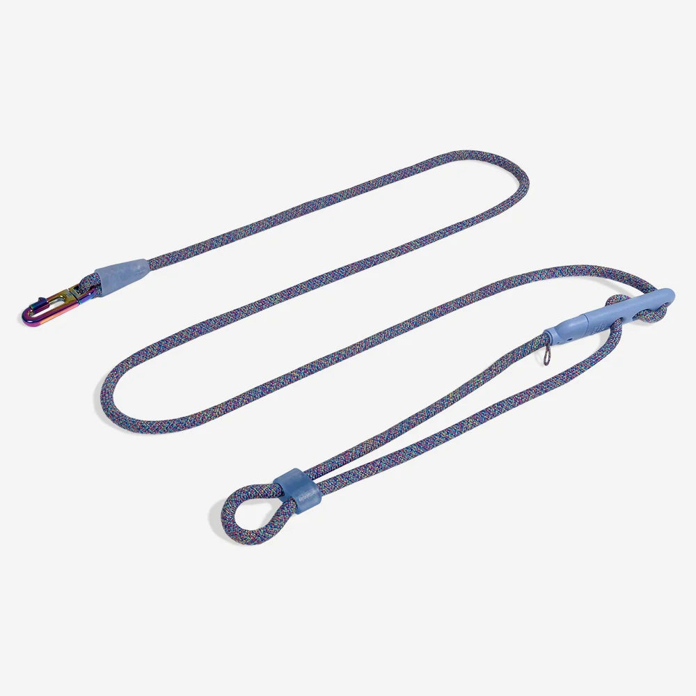 Correa manoslibres Andromeda