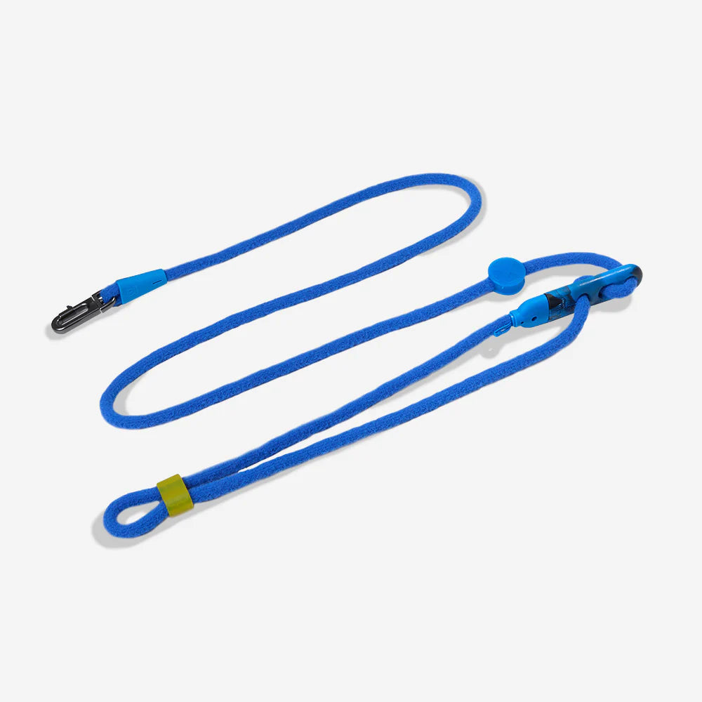 Correa manoslibres The Beast