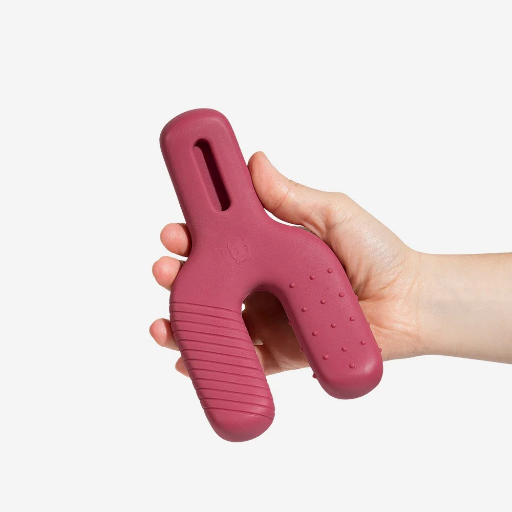 Juguete para morder Wishbone para perros
