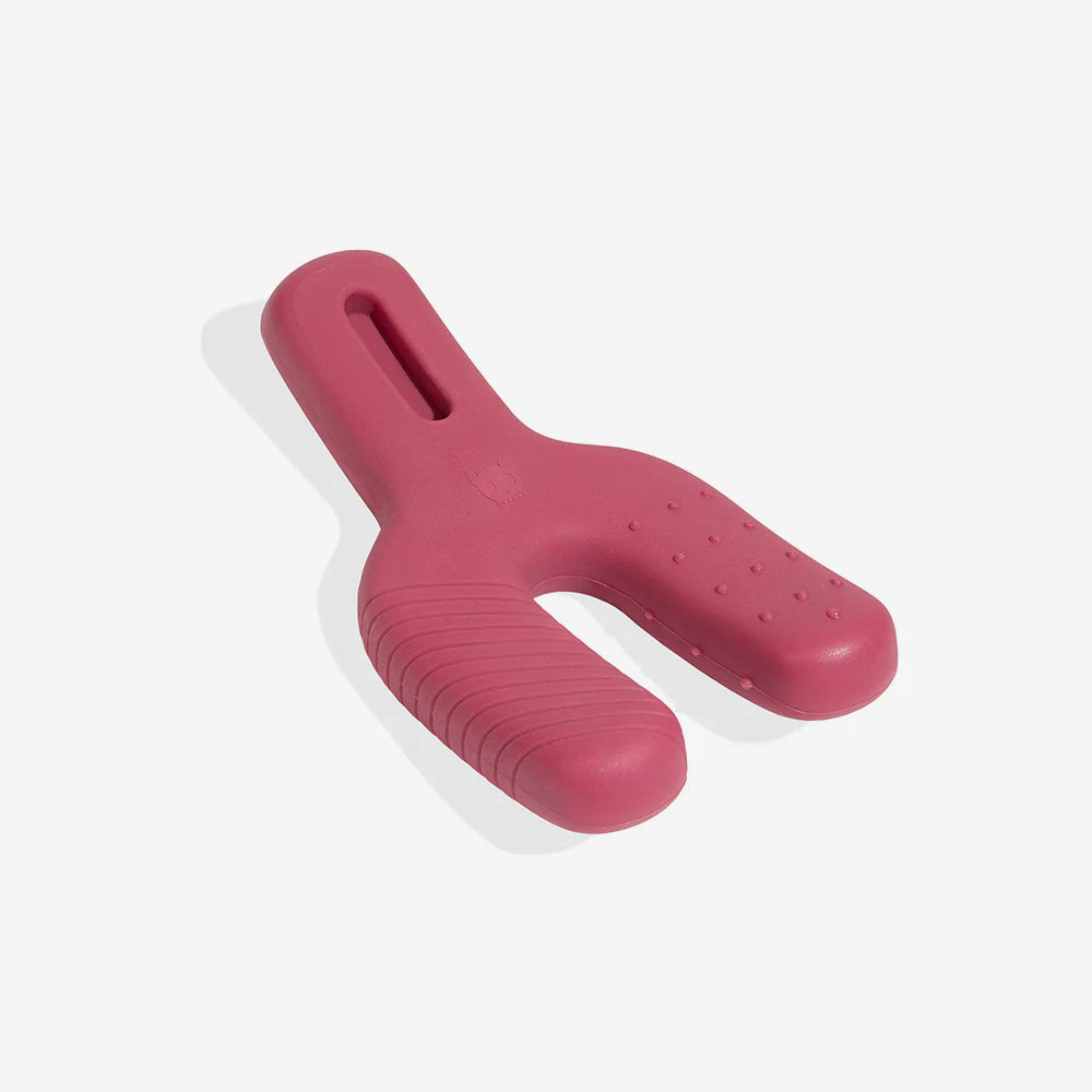 Juguete para morder Wishbone para perros