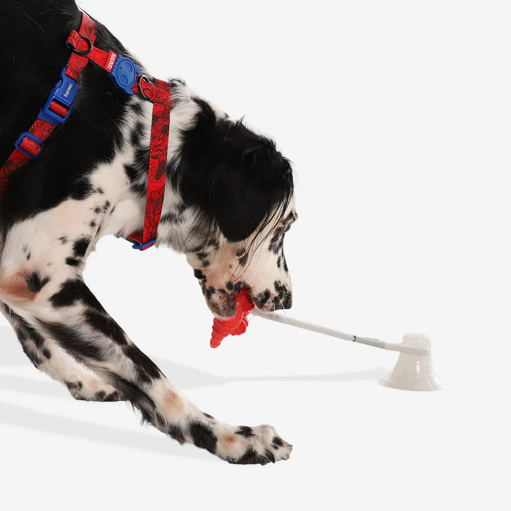 Juguete  Spider-Man Tug