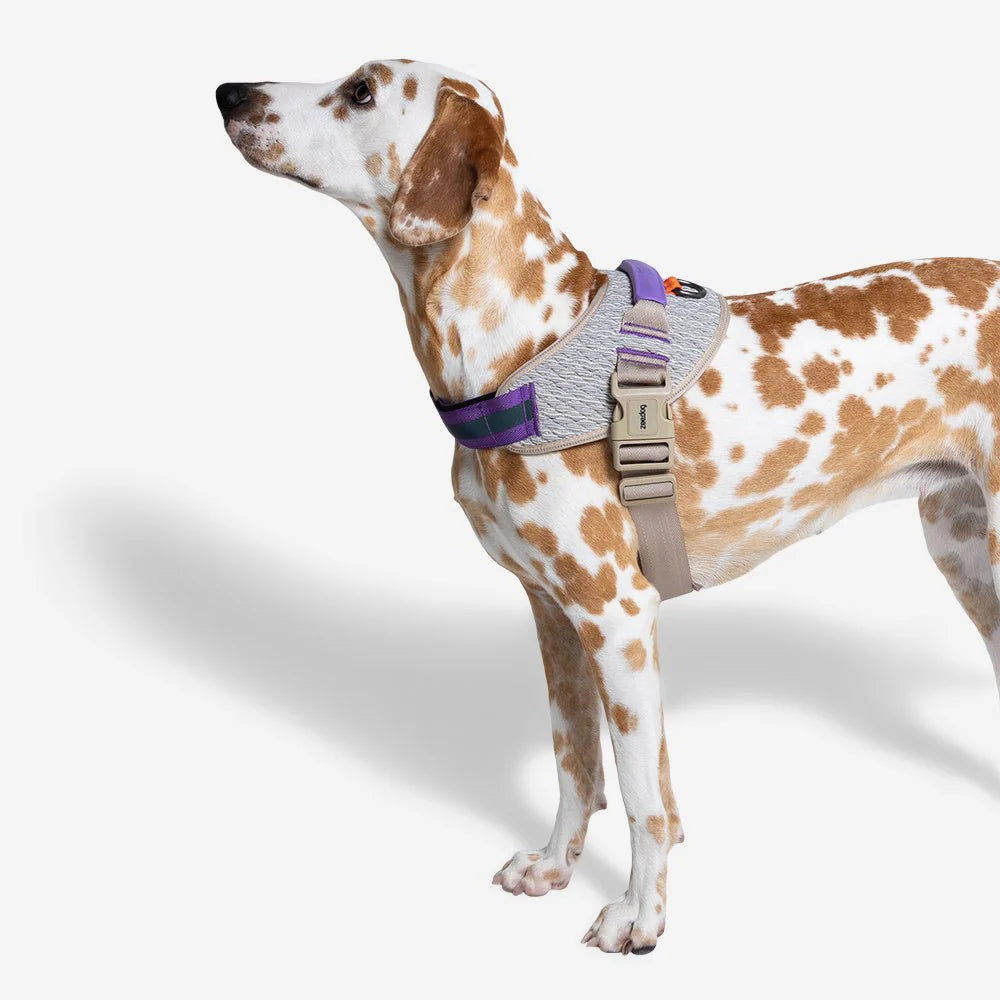 Flyharness ACG - Arnés para perros