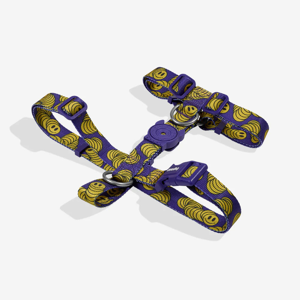 H-Harness Zmiley - Arnés en H